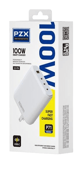 Cargadorzote 100W